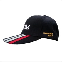 ICOM�ؼ��ٷ����
