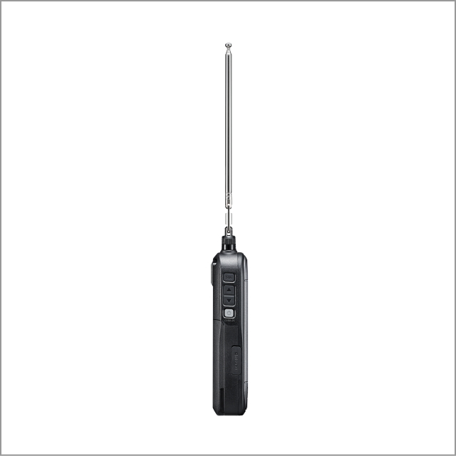 IC-R30